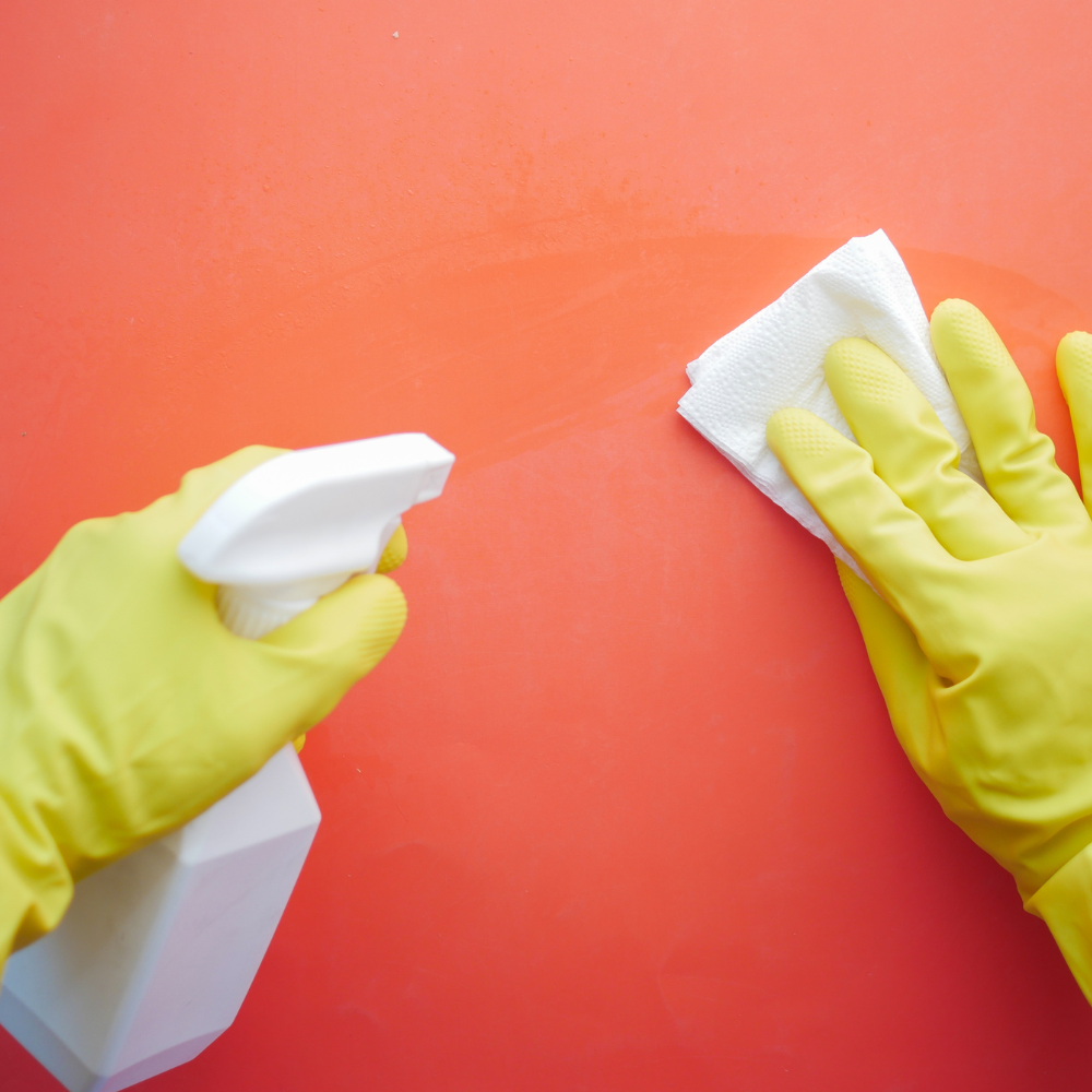 Recurring Cleaning